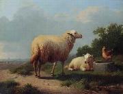 unknow artist Sheep 163 oil on canvas